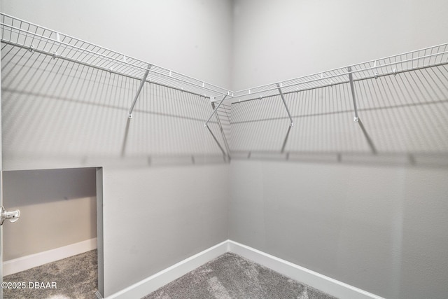 136 Longridge Ln, Ormond Beach, FL 32174 - spacious closet featuring carpet floors
