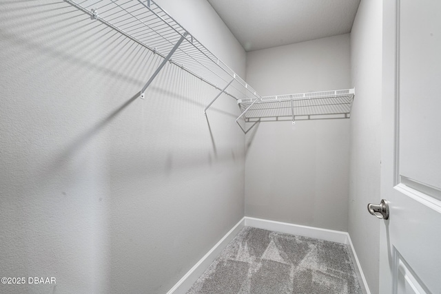 136 Longridge Ln, Ormond Beach, FL 32174 - walk in closet with carpet flooring