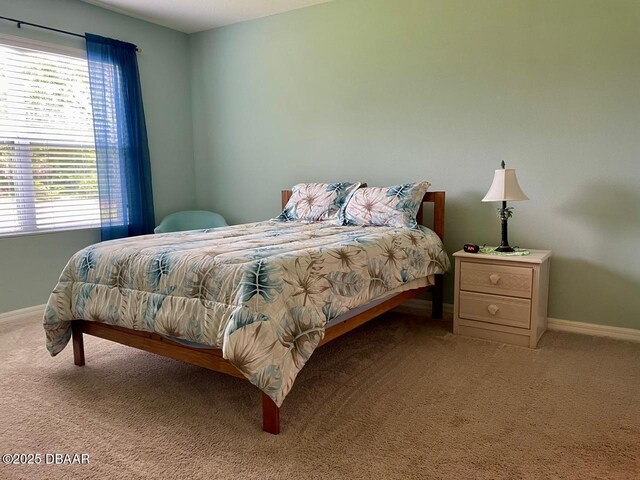 119 Fishermans Cove Dr, Edgewater, FL 32141 - carpeted bedroom with baseboards