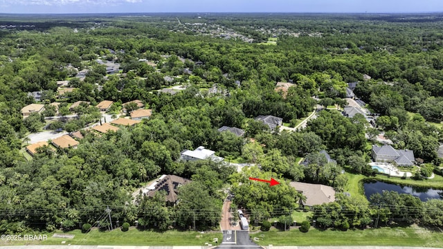 3 Indian Springs Dr, Ormond Beach, FL 32174 - aerial view of property's location featuring a heavily wooded area and a large body of water