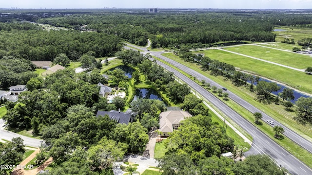 3 Indian Springs Dr, Ormond Beach, FL 32174 - drone / aerial view of a large body of water and a forest