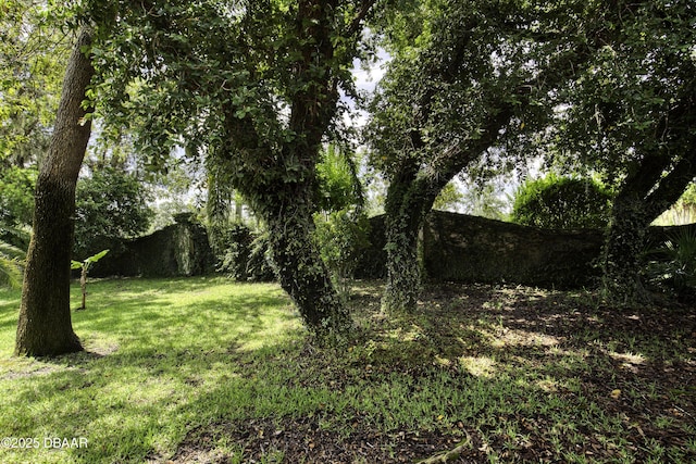 3 Indian Springs Dr, Ormond Beach, FL 32174 - view of grassy yard