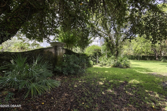 3 Indian Springs Dr, Ormond Beach, FL 32174 - view of green lawn