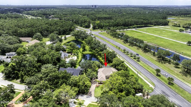 3 Indian Springs Dr, Ormond Beach, FL 32174 - bird's eye view of a nearby body of water and a forest