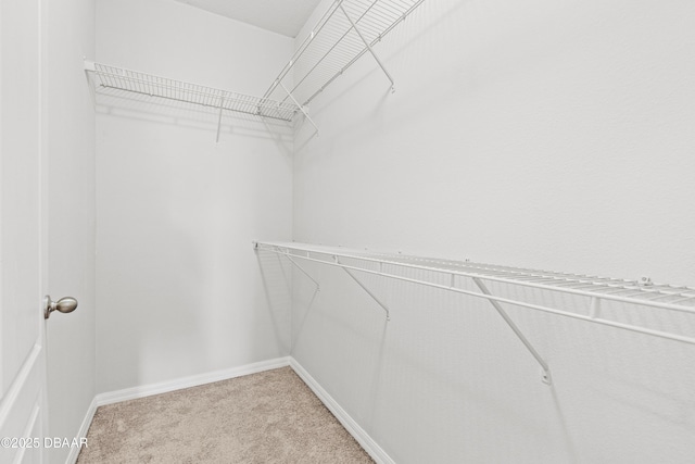 spacious closet with carpet