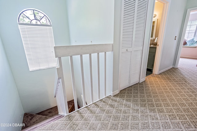 hallway with carpet flooring