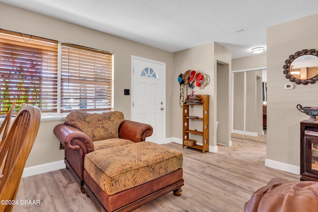 living room featuring light hardwood / wood-style flooring and a textured ceiling