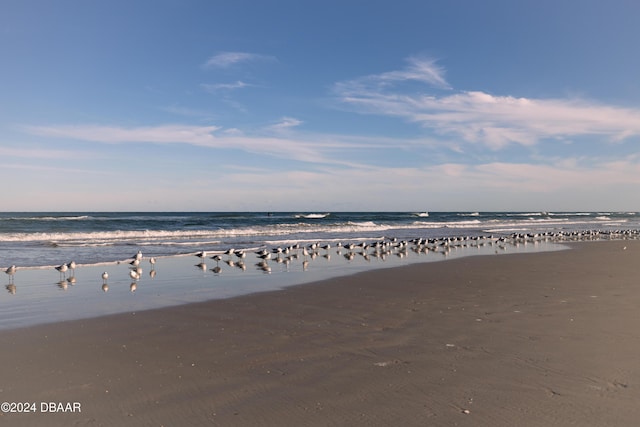 property view of water with a beach view