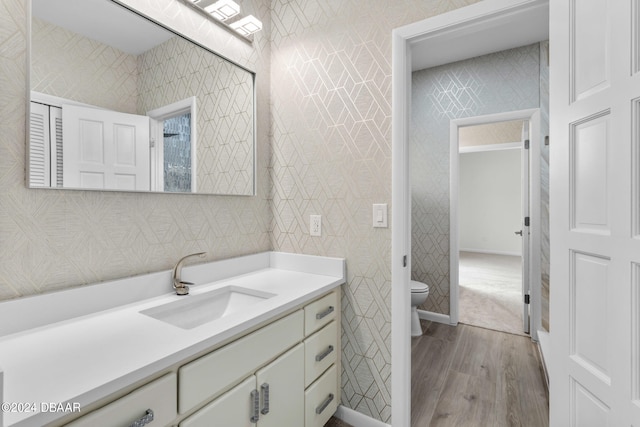 bathroom featuring toilet, vanity, and wood-type flooring