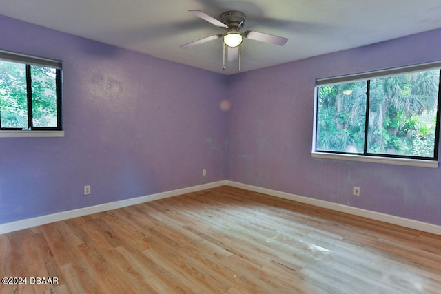 empty room featuring ceiling fan and light wood-type flooring