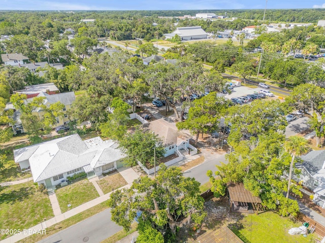 204 Anderson St, New Smyrna Beach, FL 32168 - photo 40