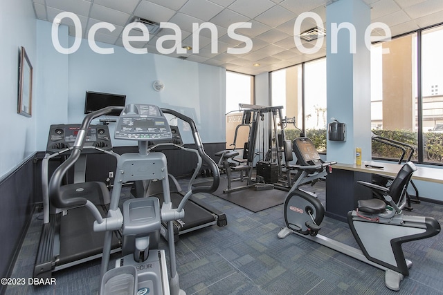 gym featuring floor to ceiling windows, a drop ceiling, and carpet floors