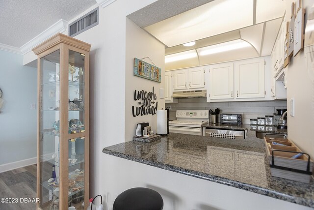 kitchen featuring dark stone countertops, ornamental molding, under cabinet range hood, and white electric stove