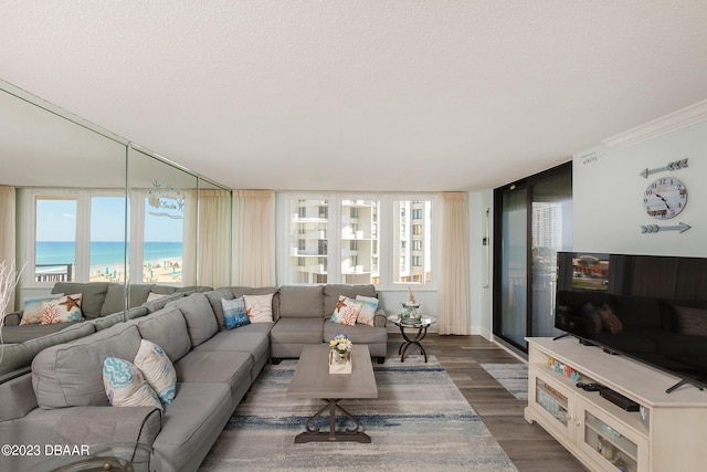 living area with a textured ceiling, a water view, and dark wood-style flooring