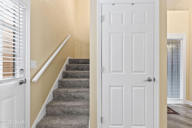 stairway with wood-type flooring