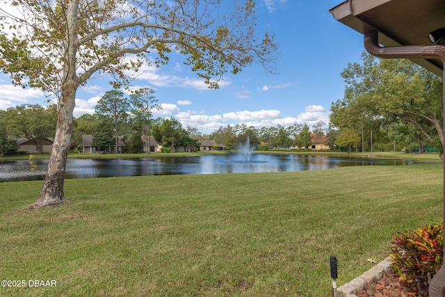 property view of water