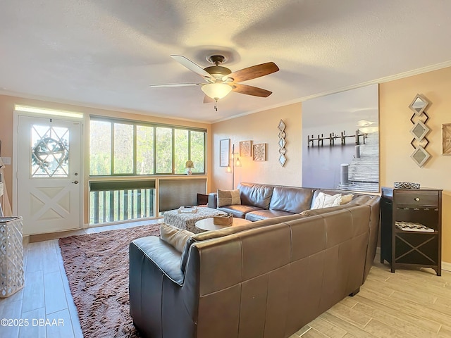 living room featuring ceiling fan, light wood-type flooring, and ornamental molding