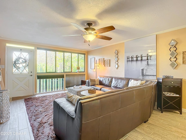 living room featuring ceiling fan, light hardwood / wood-style floors, and crown molding