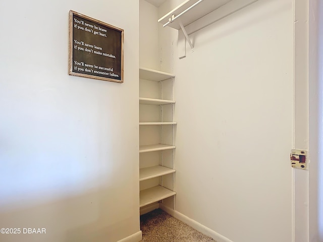 spacious closet featuring carpet flooring