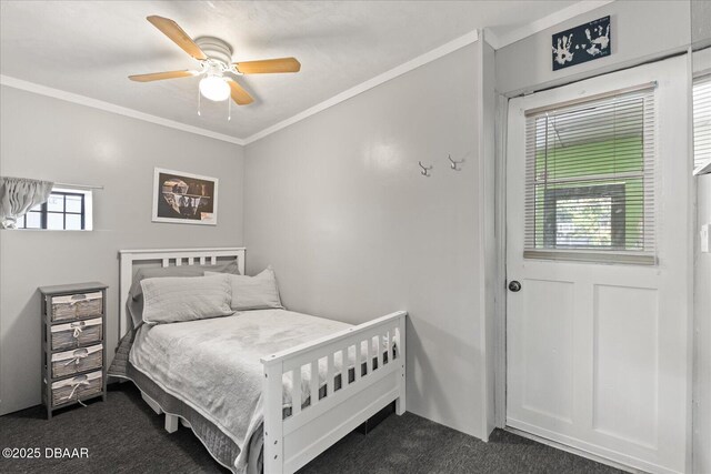 793 Greenway Pl, Daytona Beach, FL 32114 - photo 9