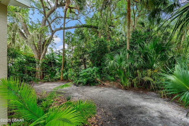 3244 Galty Cir, Ormond Beach, FL 32174 - photo 33