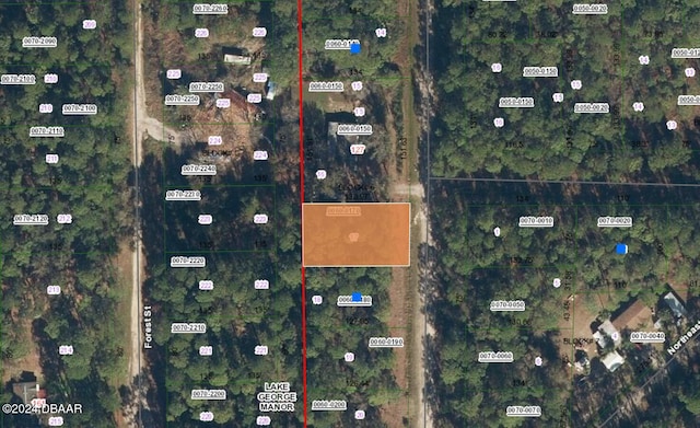 125 E Boundary Dr, Georgetown FL, 32139 land for sale