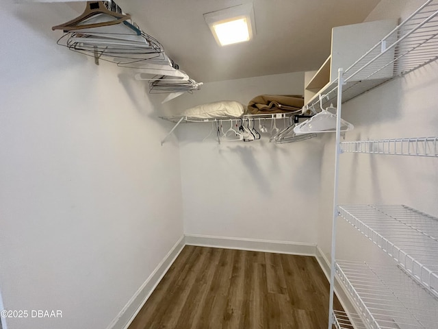 walk in closet featuring wood-type flooring