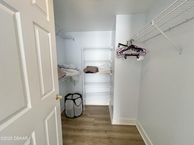 walk in closet with wood-type flooring