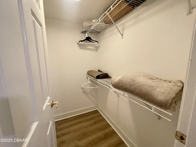 spacious closet featuring dark hardwood / wood-style flooring