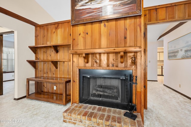 details featuring carpet flooring and a fireplace