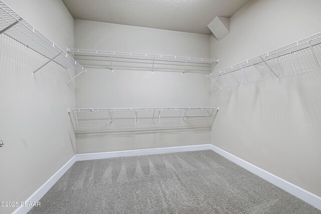 walk in closet with carpet