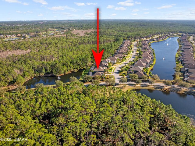 bird's eye view with a water view and a forest view