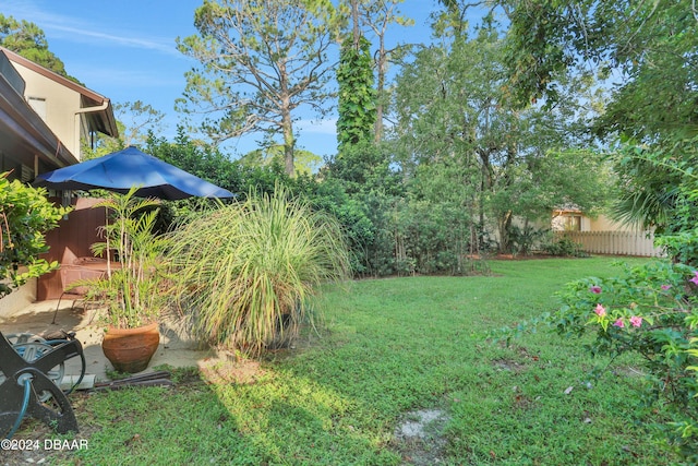 view of yard featuring a patio