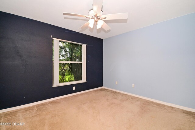 1903 Willow Oak Dr, Edgewater, FL 32141 - photo 26