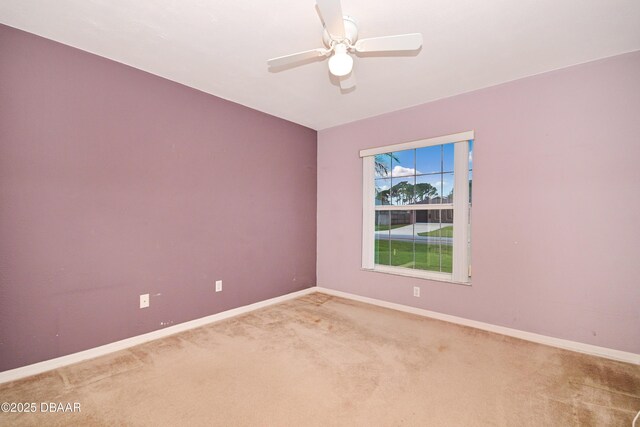 1903 Willow Oak Dr, Edgewater, FL 32141 - photo 24