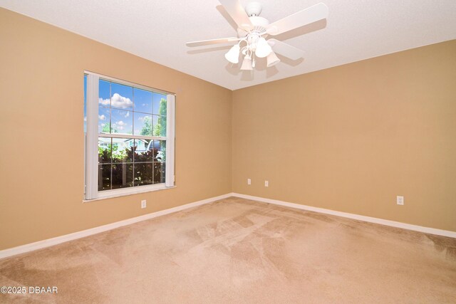 1903 Willow Oak Dr, Edgewater, FL 32141 - photo 20
