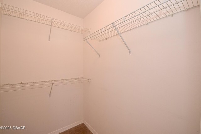 1903 Willow Oak Dr, Edgewater, FL 32141 - photo 23