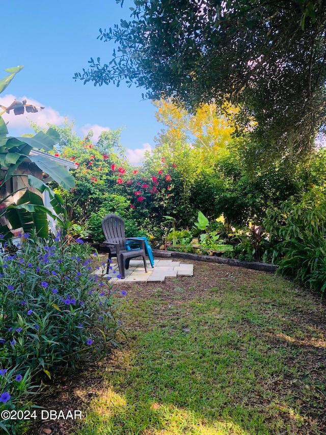 view of yard with a patio