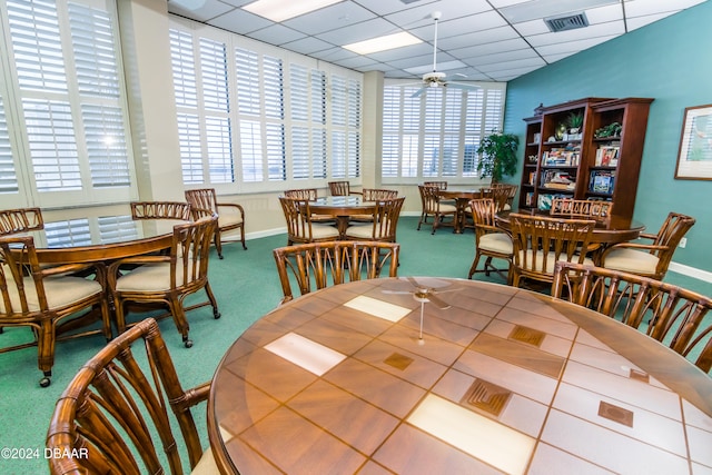 dining area with a drop ceiling, carpet flooring, and ceiling fan