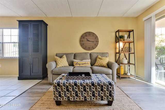 living room featuring wood-type flooring