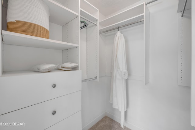 620 Middlebury Loop, New Smyrna Beach, FL 32168 - spacious closet with light carpet