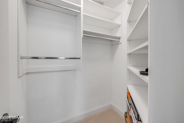 620 Middlebury Loop, New Smyrna Beach, FL 32168 - view of walk in closet
