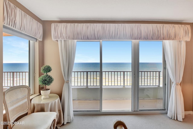 2937 S Atlantic Ave Unit 1603-1604, Daytona Beach Shores, FL 32118 - photo 50
