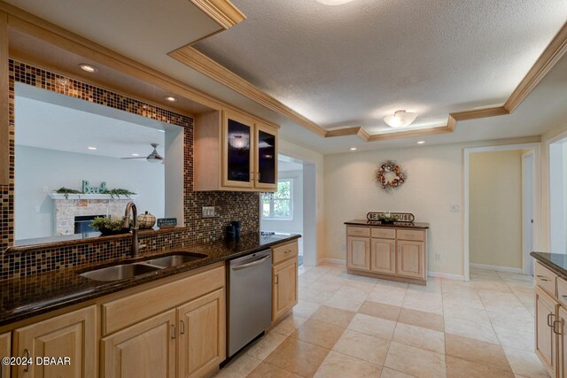 kitchen featuring stainless steel dishwasher, tasteful backsplash, sink, and a tray ceiling