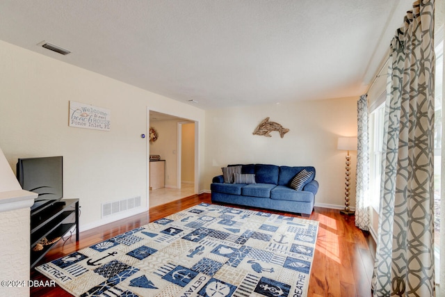 living room featuring hardwood / wood-style flooring