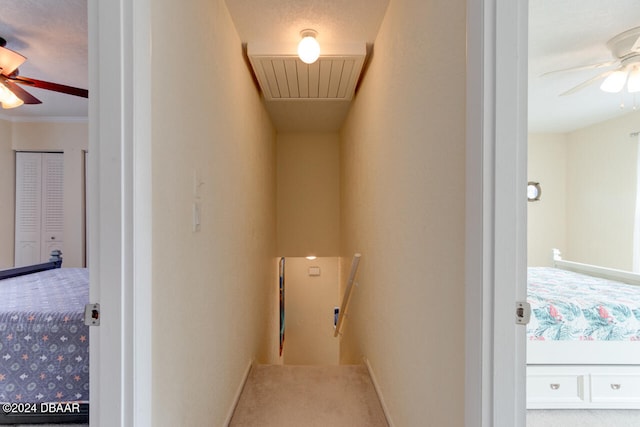 4766 S Atlantic Ave, Ponce Inlet, FL 32127 - hall featuring an upstairs landing, carpet floors, attic access, crown molding, and baseboards