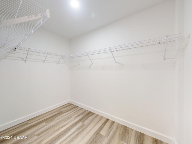 5336 Georgia Peach Ave, Port Orange, FL 32128 - spacious closet with light wood finished floors