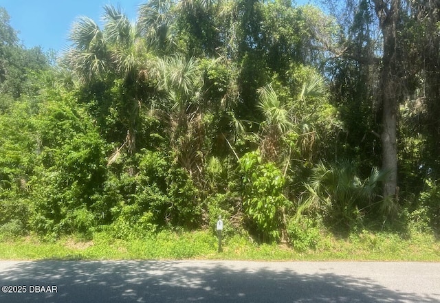 00 Orange Tree Dr, Edgewater, FL 32141