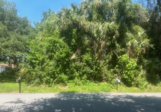 00 Orange Tree Dr, Edgewater, FL 32141