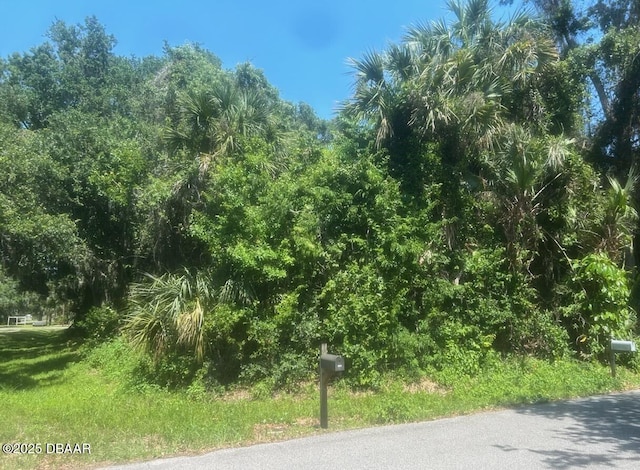 00 Orange Tree Dr, Edgewater, FL 32141